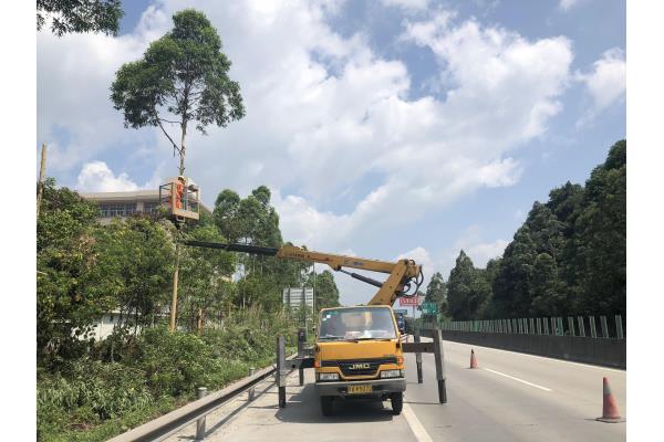 博罗园林树枝修剪高空车租赁  高空作业车  云梯车  路灯车