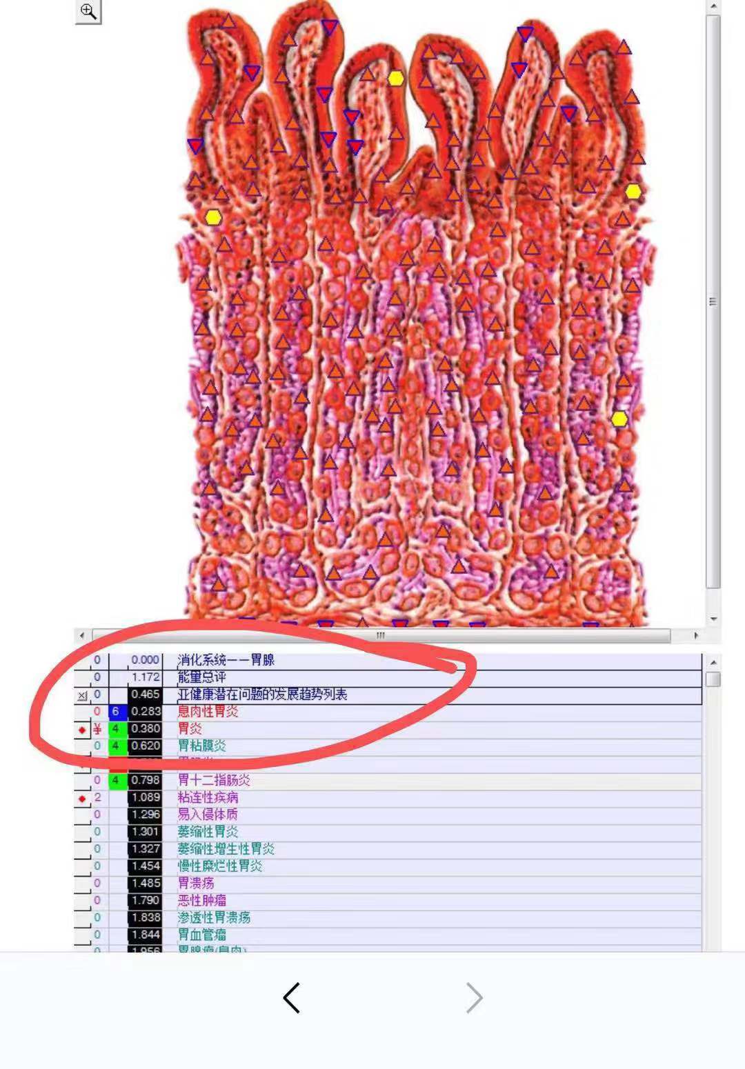 9D-NLS预警管理系统 大健康必备  细胞检测仪  大健康行业  售后保障