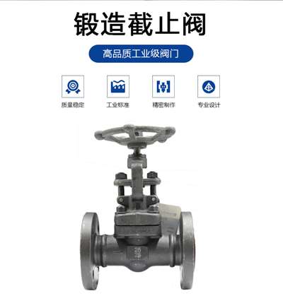 厂家直销 锻造手动法兰截止阀 J41H-25 硬密封型  硬密封截止阀