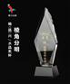保险公司优秀销售经理奖杯，荣誉奖品纪念品刻字定制