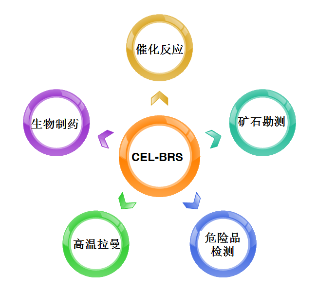 远程在线拉曼测试系统