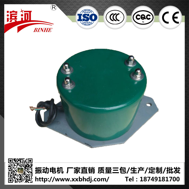 CZ电磁仓壁振动器&nbsp;&nbsp;振动电机&nbsp;&nbsp;滨河电机