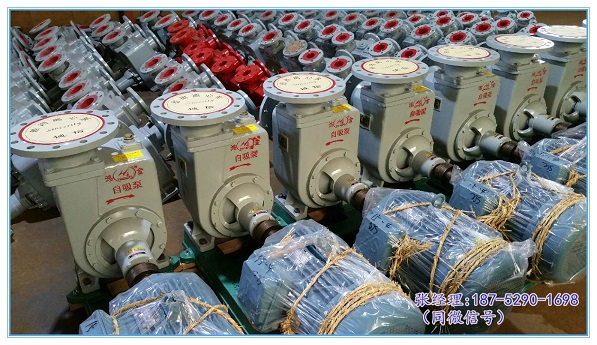 80CWZ-11船用卧式自吸离心泵批发价格 80CWZ-11自吸泵 80CWZ-11消防泵 80CWZ-11报价