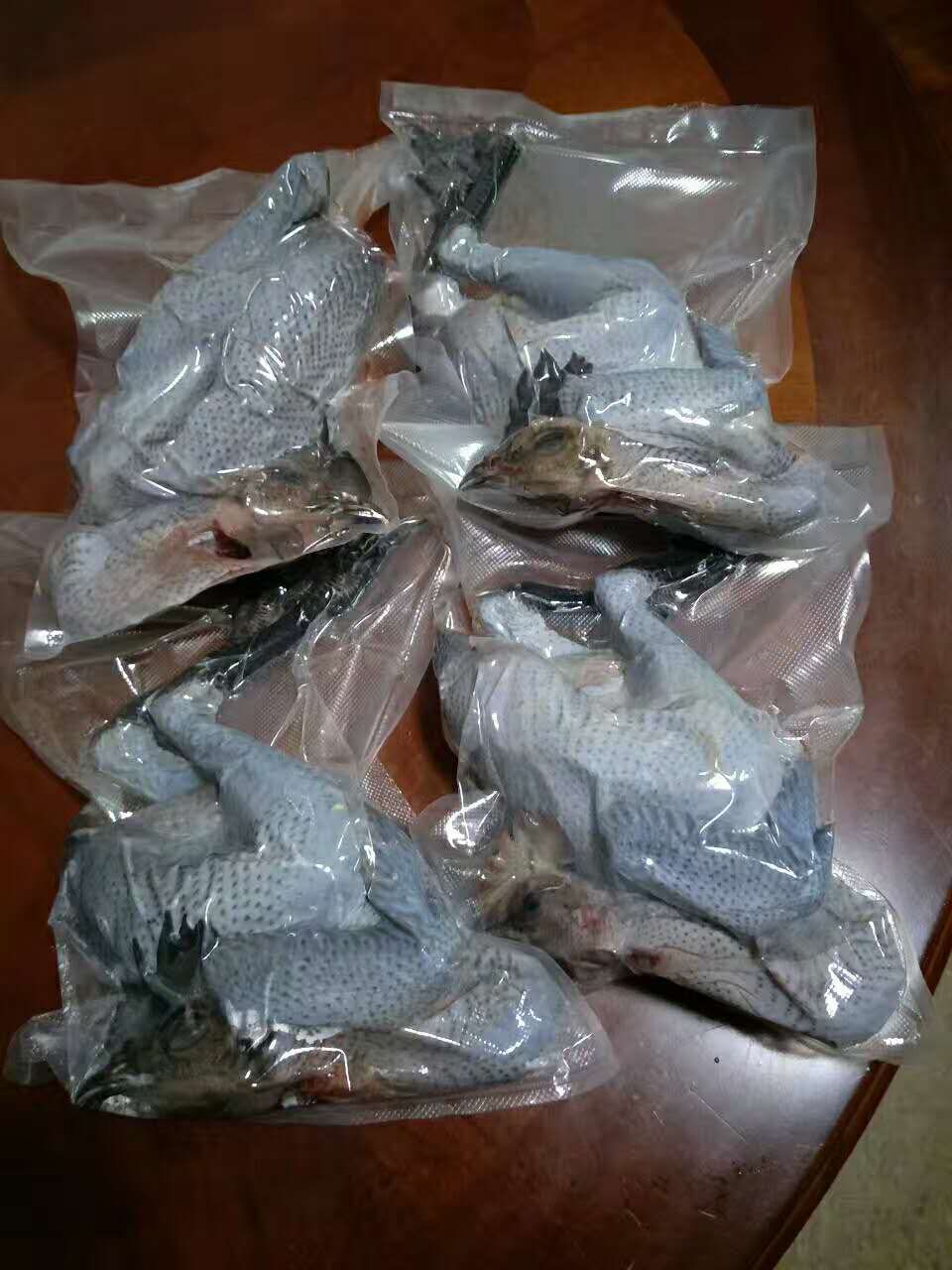 南郊黑鸡在附近有销售点和养殖场吗