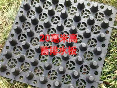 青岛黑色-绿色@凹凸-隔根板新闻-报告