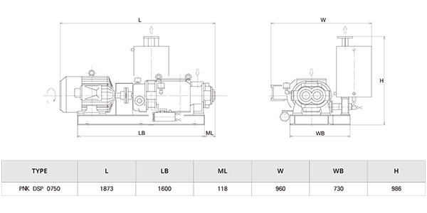 双螺杆泵 螺杆真空泵