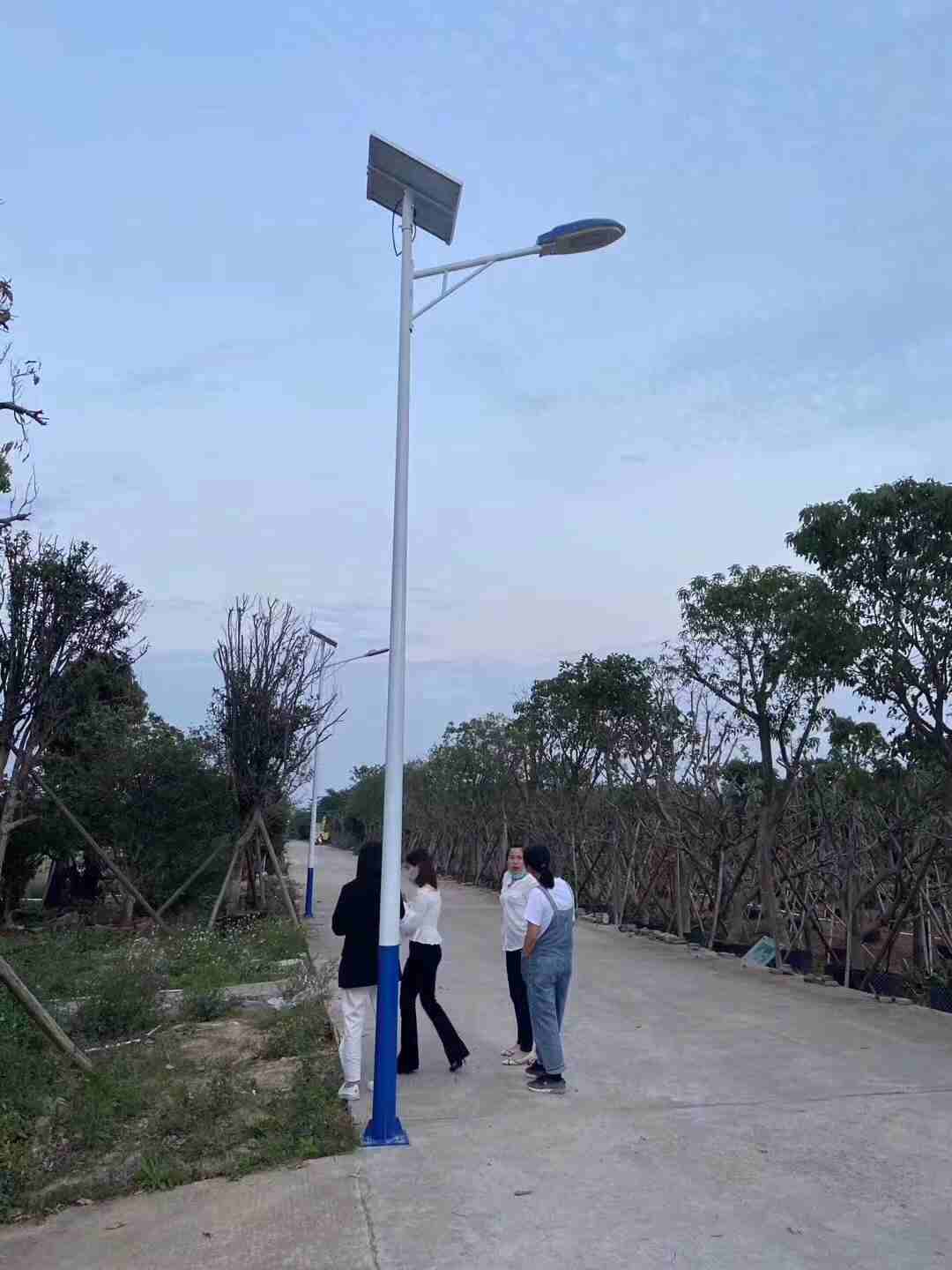 河北6米8米太阳能路灯厂家价格优惠