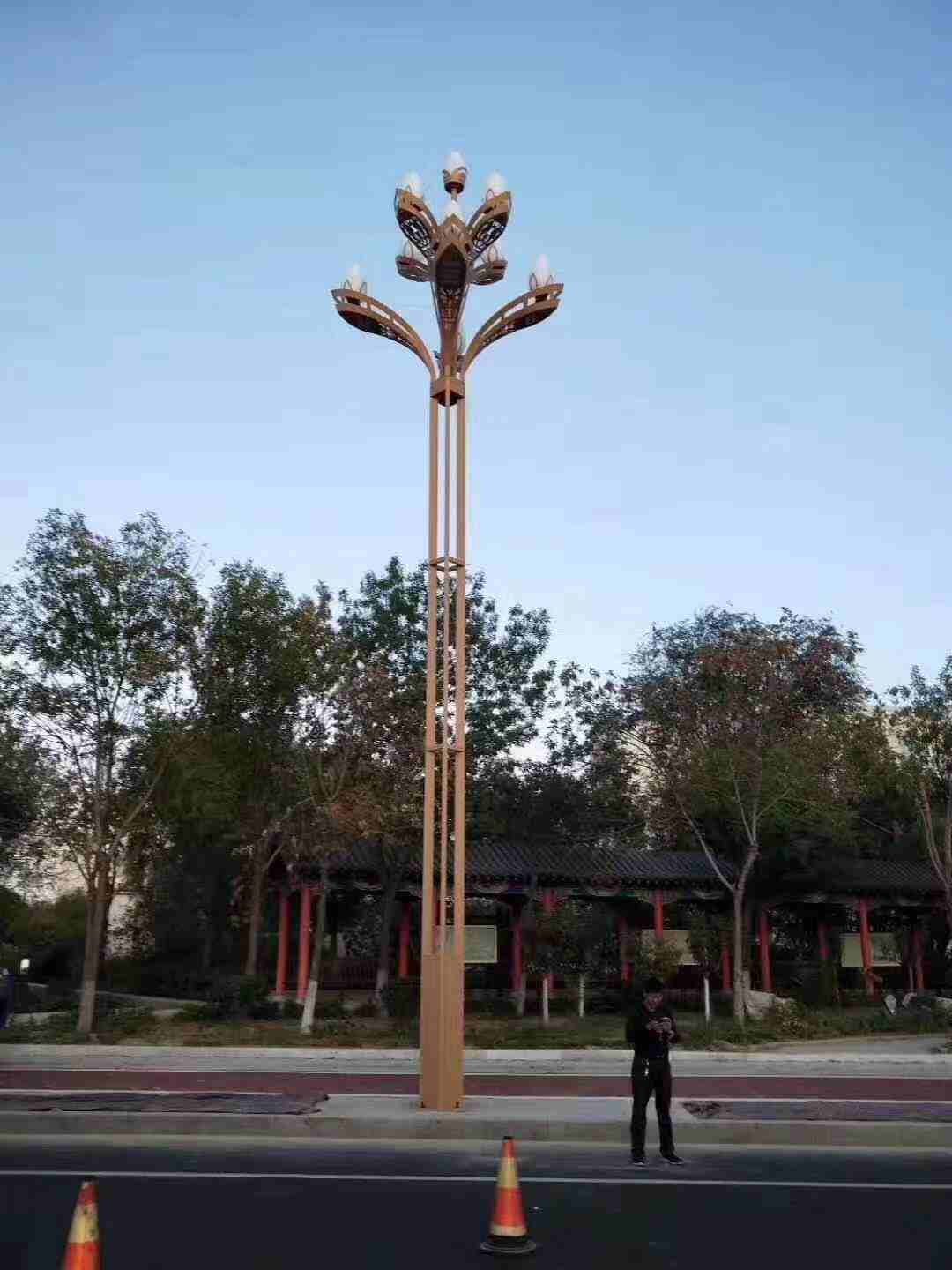 盘锦6米8米太阳能路灯厂家定制各种尺寸