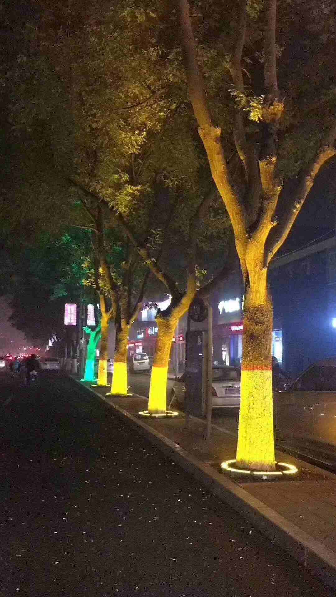 香河县院内太阳能路灯源头厂家--楷举照明