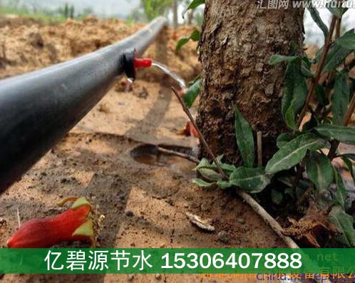 邯郸苗木乔木滴灌滴头价格  邯郸乔木滴灌  邯郸苗木滴灌
