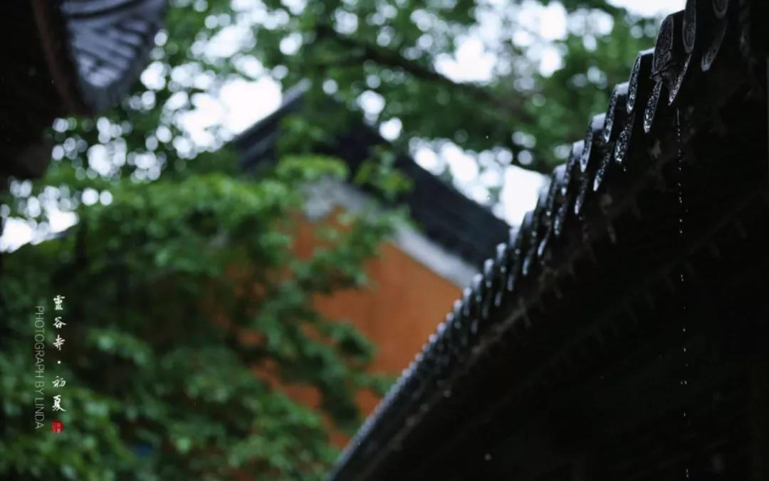 合肥爱好者初学古琴要注意姿态问题  古琴批发  古琴零售  复雅古琴社