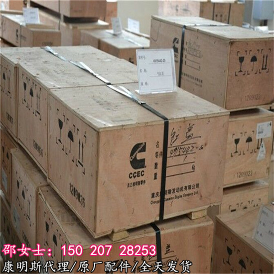 L10缸盖2863994国产原装柴油机气缸盖