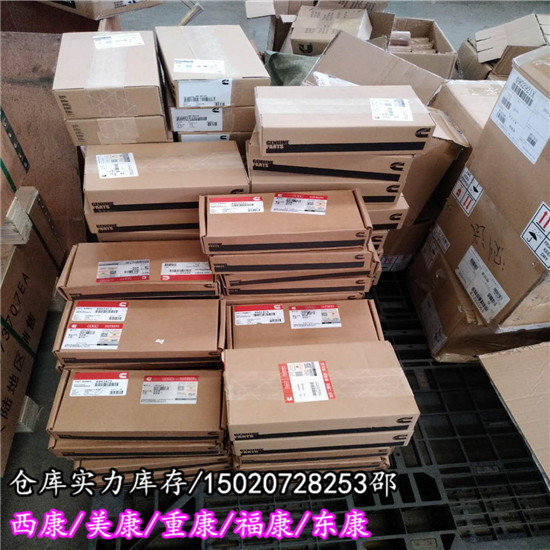 湘潭SF3103电动轮3089056K38水泵水封  湘潭SF3103水泵水封
