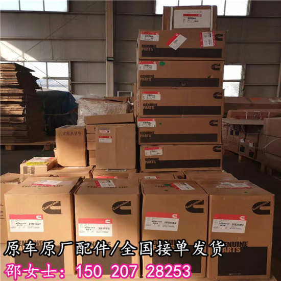 太原康明斯3007632特雷克斯TR60堵  发动机堵塞