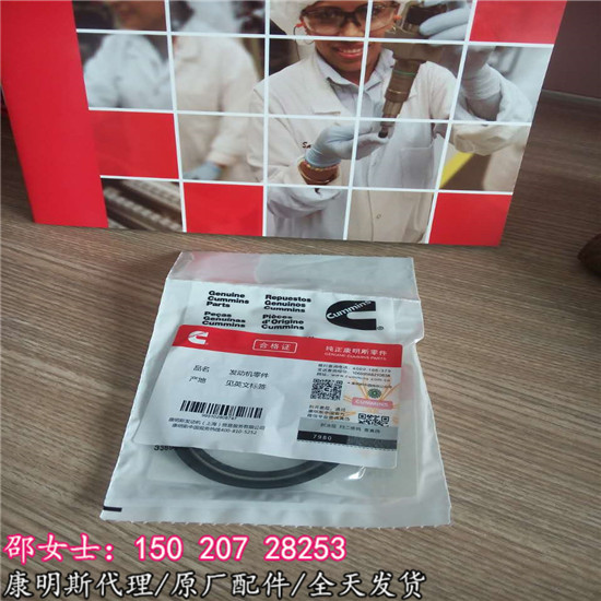 邦立CE1000-7气门油封4099092黑龙江矿车招标  QSK19气门油封