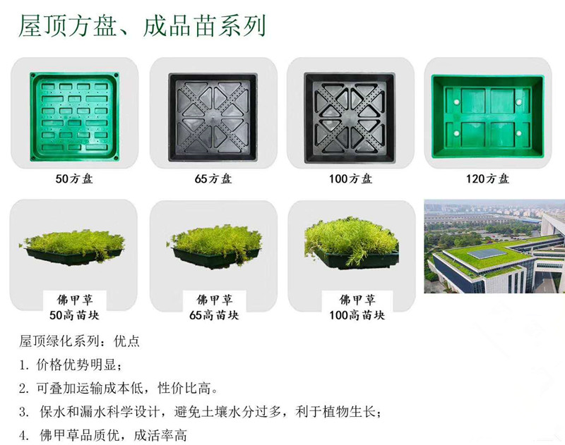 湖南厂家直销各种育苗培育佛甲草培育方盘  育苗培育方盘  屋顶绿化种植方盘