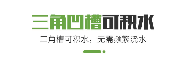 哪有佛甲草育苗培育方盘 育苗培育专用方盘  佛甲草育苗种植方盘  屋顶绿化方盘