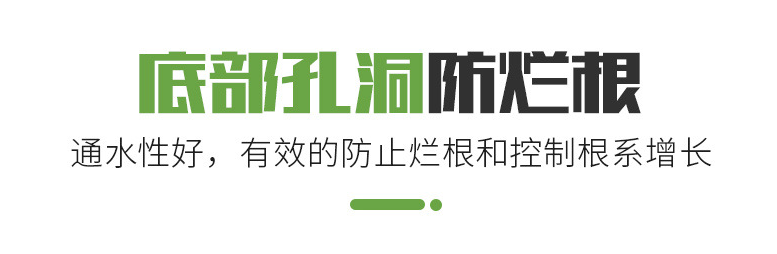 哪有佛甲草育苗培育方盘 育苗培育专用方盘  佛甲草育苗种植方盘  屋顶绿化方盘