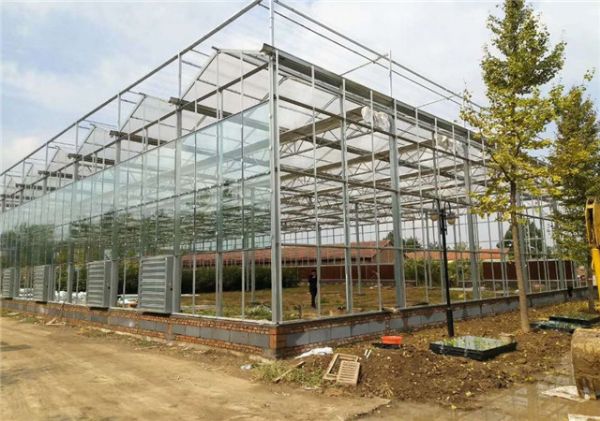 玻璃温室建造报价