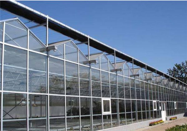玻璃温室建造施工厂家