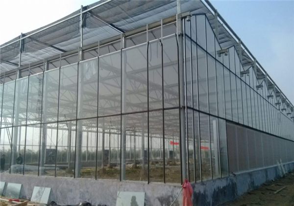 玻璃温室建造设计