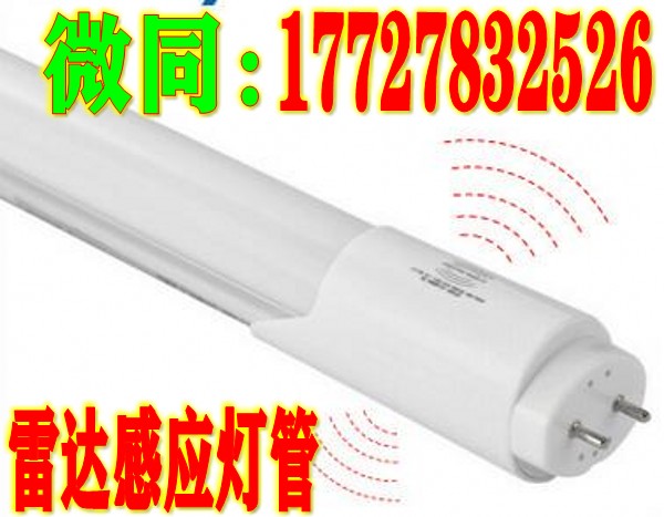 山东T8雷达感应灯管
