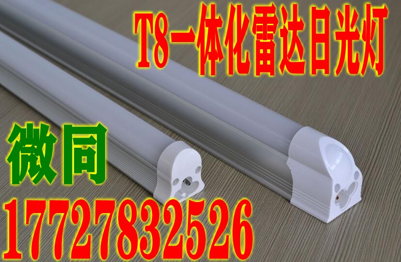 山东T8雷达感应灯管