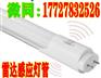 山东T8雷达感应灯管