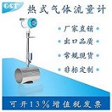 插入式热式气体质量流量计探针型  插入式气体流量计  热式气体流量计
