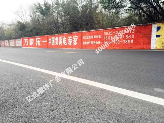 河源九芝堂户外墙体广告亿达广告走过路过别错过&nbsp;&nbsp;广东墙体广告&nbsp;&nbsp;农村墙体广告