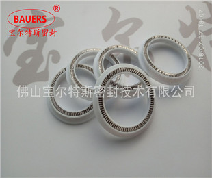 供应特瑞堡 德国 宝色霞板B+S特康旋转泛塞TVM型密封 耐高温 耐腐蚀耐磨损 专业泛塞封