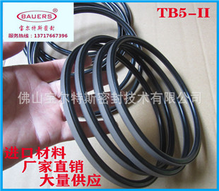 车氏密封TB5-IIA活塞用J型滑环组合密封件耐&nbsp;&nbsp;耐高温组合密封&nbsp;&nbsp;耐腐蚀耐磨损&nbsp;&nbsp;高压组合密封
