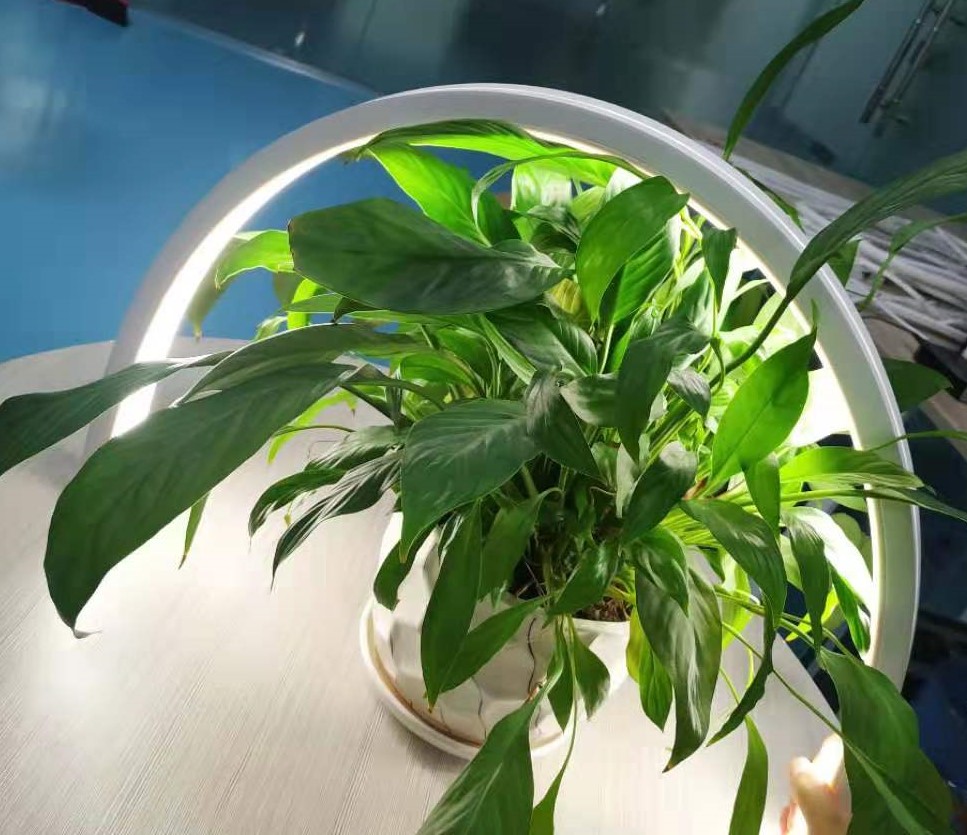 超级LED数码硅胶霓3020正发光软光源  硅胶霓虹  硅胶挤出  DMX512