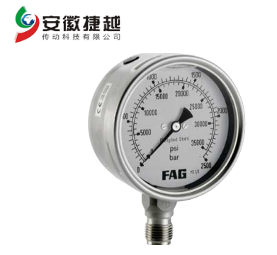 安徽捷越FAG 压力表PUMP1000.MANO-G1/2