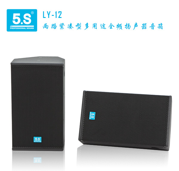 厦门5S酒吧音箱LY-12，酒吧灯光，舞台机械  5S专业音响  5S智能影音
