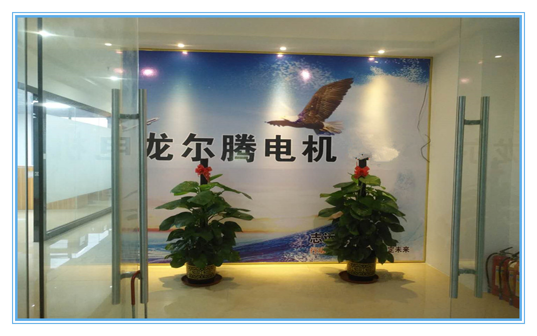 东莞市龙尔腾电机有限公司