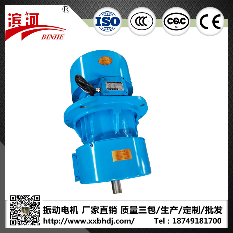 山东直线筛振动电机销售基地
