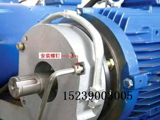 DZM-08电磁盘式制动器