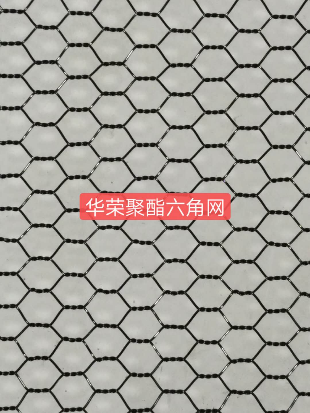 PET聚酯拧花网 PET聚酯渔网 PET深海养殖网