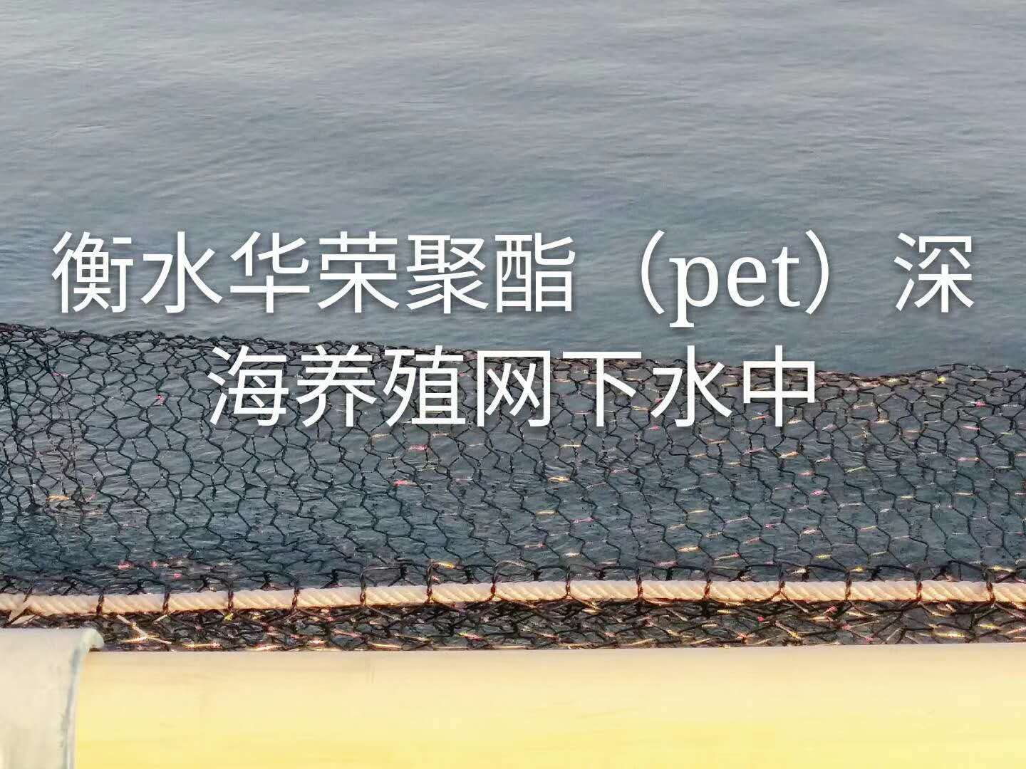 PET聚酯拧花网 PET聚酯渔网 PET深海养殖网