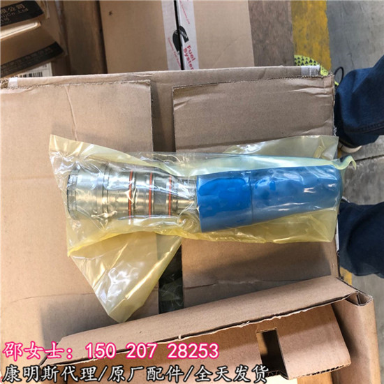 曲阜路桥施工NTA855喷油器3047973原车件