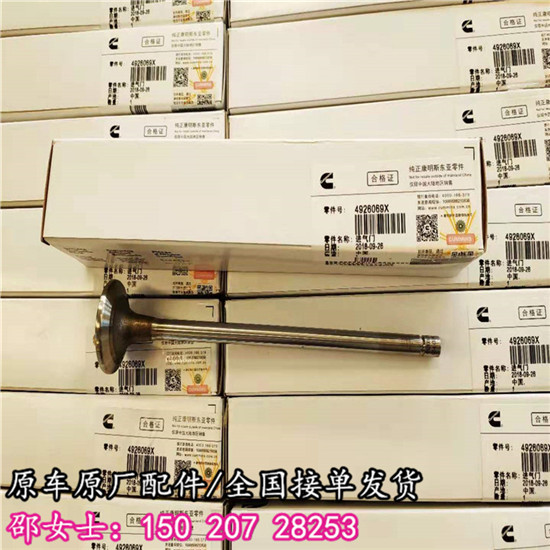 工程机械车用进气门4955239康明斯3417778  康明斯进气门