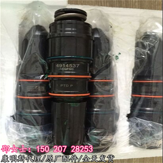 山推畅销款3054233喷油器重康NTA855PT系列  NTA855喷油器