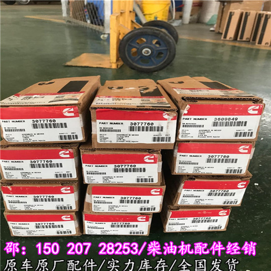 ISm11/M11活塞4025161康明斯活塞组件40251