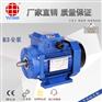 郴州，7.5KW三相异步电机YS132M-2