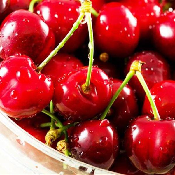 进口食品国外提供资料  进出口报关  国际物流