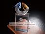 独占鳌头琉璃水晶奖杯 销售冠军奖杯 广州刻字奖杯奖牌