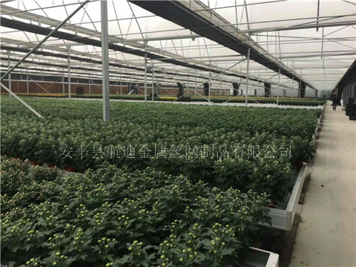 温室科研育苗床-药材种植可移动苗床-航迪出品  航迪可移动苗床