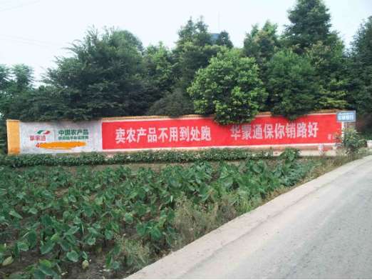 a梦天木门石家庄户外墙体广告施工与设计的完美结合  河北农村墙体广告