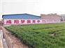 好人家上海墙体广告快刷墙随时客户萦绕